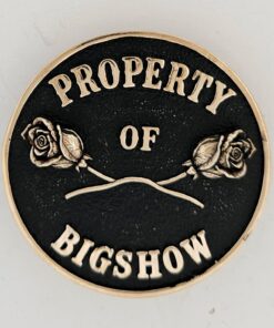 Windwalkers Property Buckle